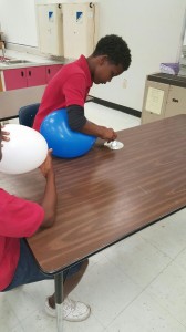 Broward Estates-STEM9